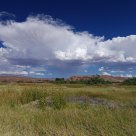 Virga